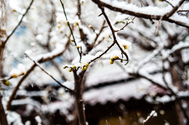 与巴黎圣日